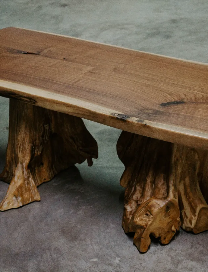 Black walnut slab coffee table stump base