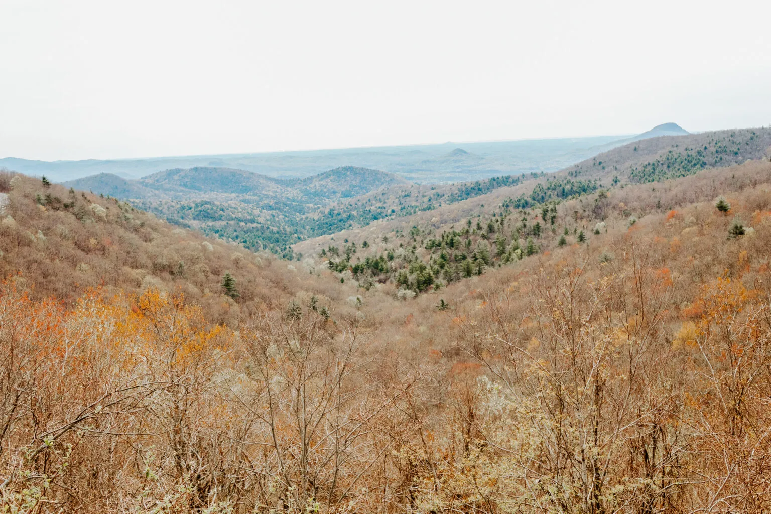 Head to Blairsville, Georgia, For a Socially-Distanced Mountain