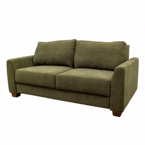 A green fabric sofa with two matching cushions and wooden legs is positioned against a white background, showcasing its simple and comfortable design.