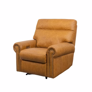 Coleman Recliner